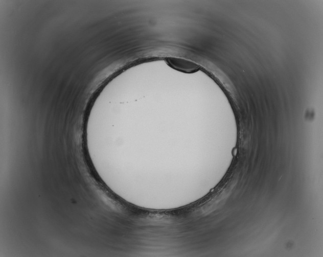 X0000101690437200808071138