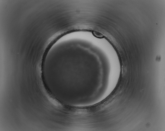 X0000101690438200808071138