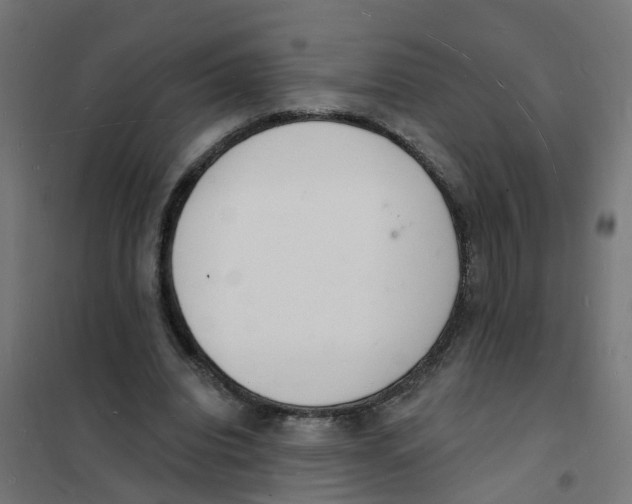 X0000101690440200808071138