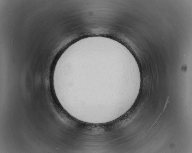 X0000101690443200808071139