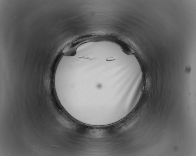 X0000101690444200808071139