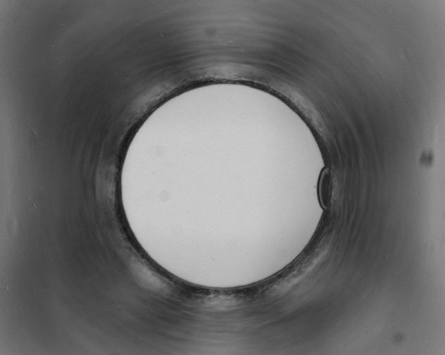 X0000101690445200808071139