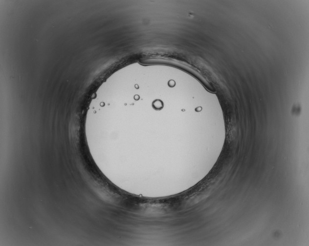 X0000101690448200808071139