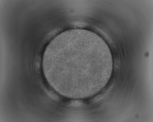 X0000101690451200808071139