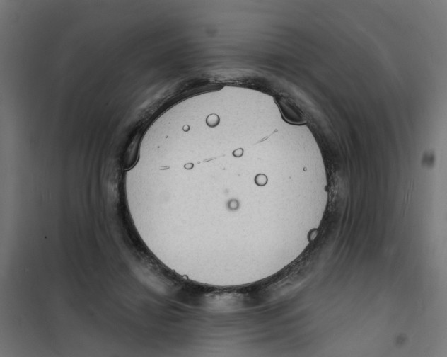 X0000101690452200808071139