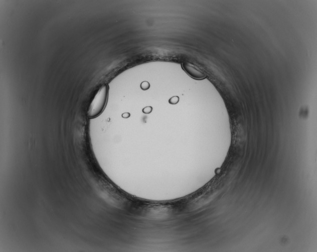 X0000101690456200808071139