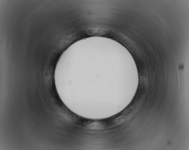 X0000101690460200808071139