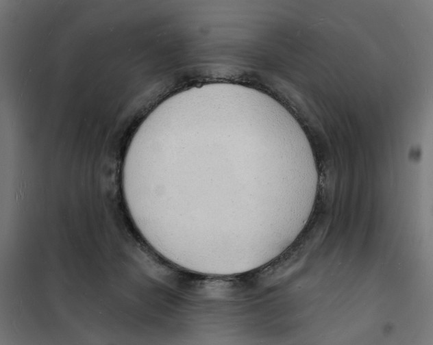 X0000101690462200808071139