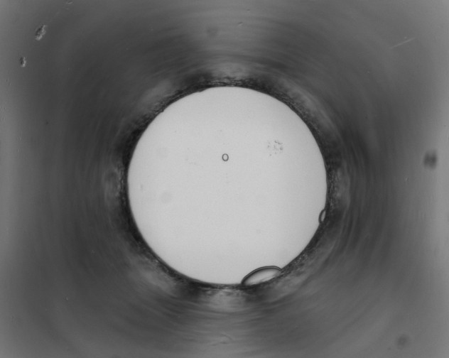 X0000101690463200808071139