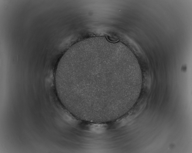 X0000101690465200808071139