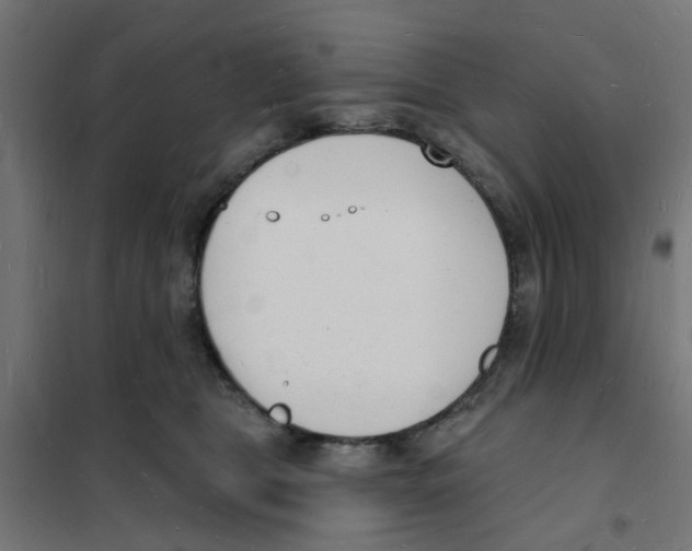 X0000101690469200808071139