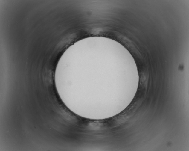 X0000101690470200808071139