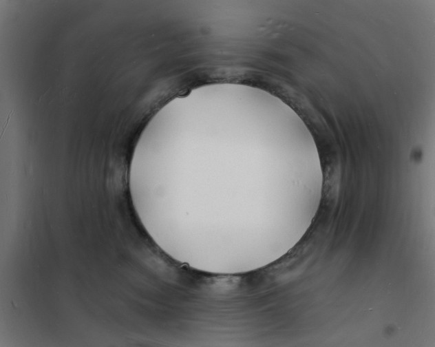 X0000101690474200808071139