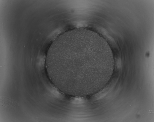 X0000101690475200808071139