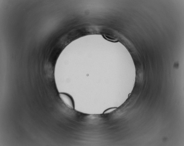 X0000101690477200808071139