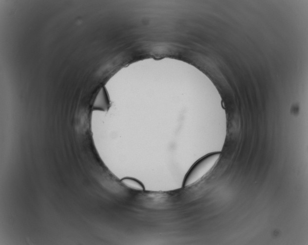 X0000101690478200808071139