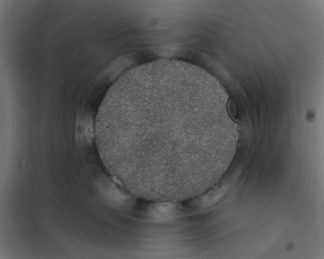 X0000101690479200808071139