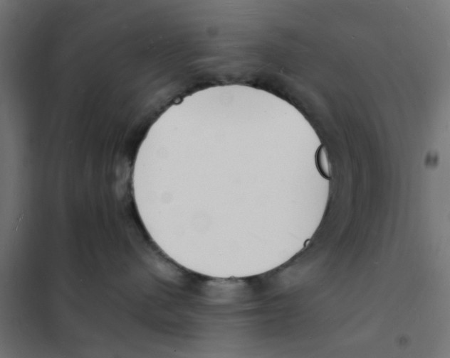 X0000101690480200808071139