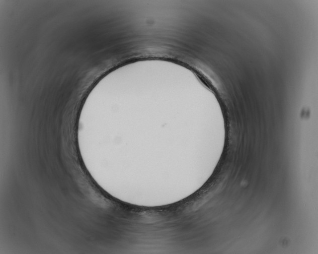 X0000101690481200808071138