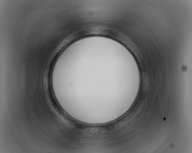 X0000101690482200808071138