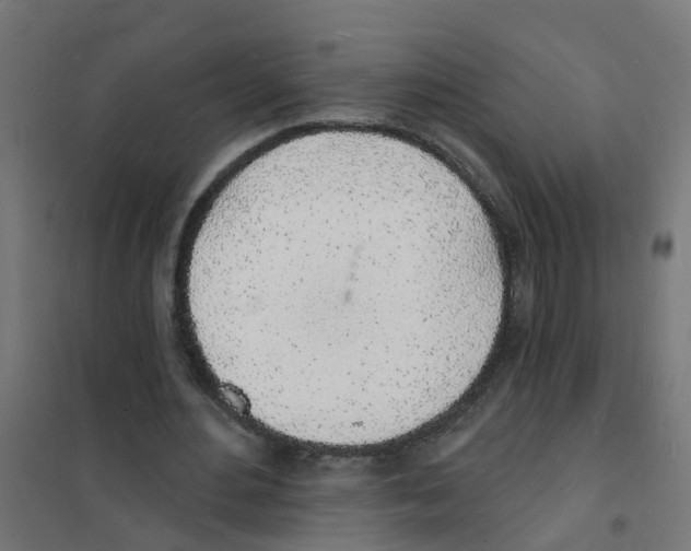 X0000101690484200808071138