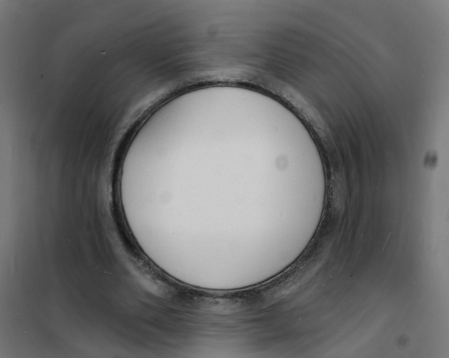 X0000101690486200808071138