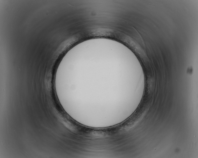 X0000101690490200808071138