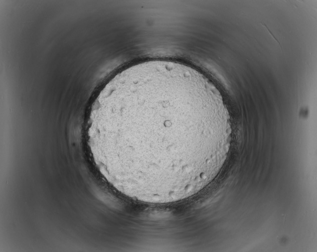 X0000101690491200808071138