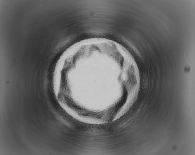 X0000101690494200808071138