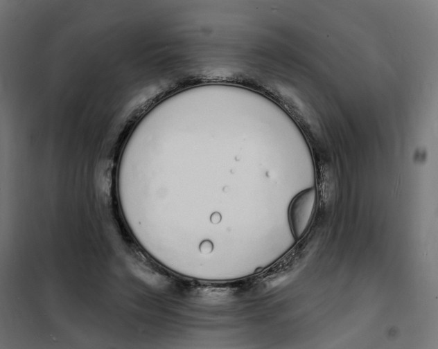 X0000101690495200808071138