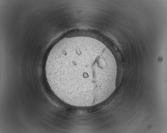 X0000101690496200808071138