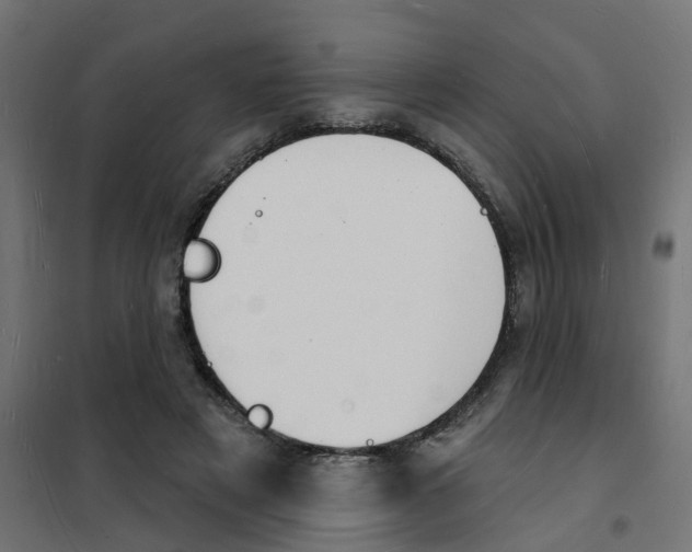 X0000101690497200808071138