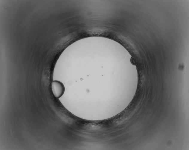 X0000101690498200808071138