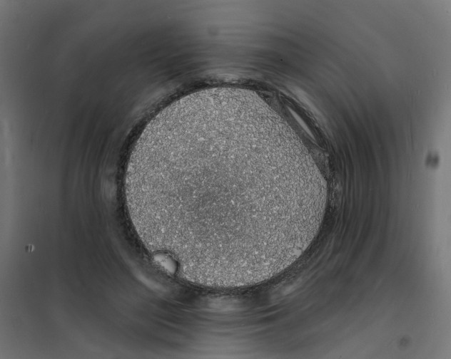 X0000101690500200808071138