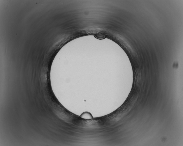 X0000101690501200808071138