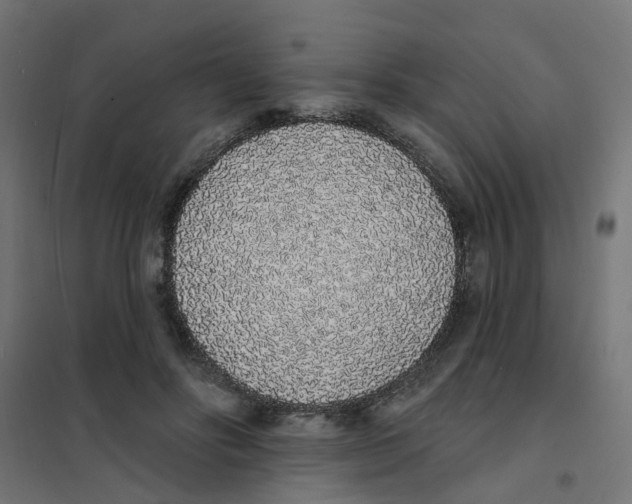 X0000101690502200808071138