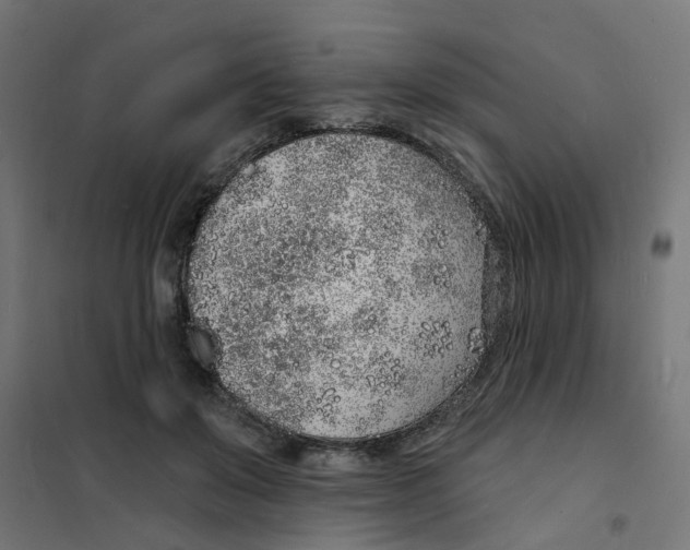 X0000101690503200808071138