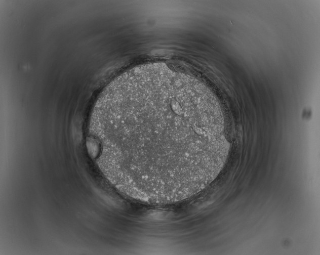 X0000101690504200808071138