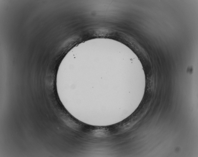 X0000101690505200808071138