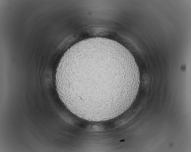 X0000101690506200808071138