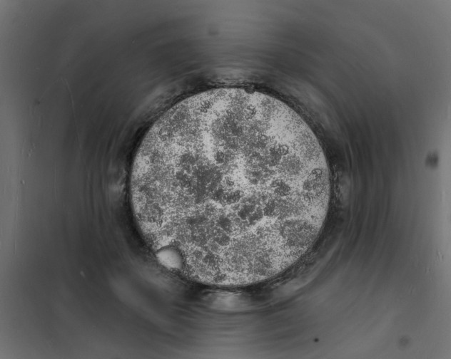 X0000101690507200808071138