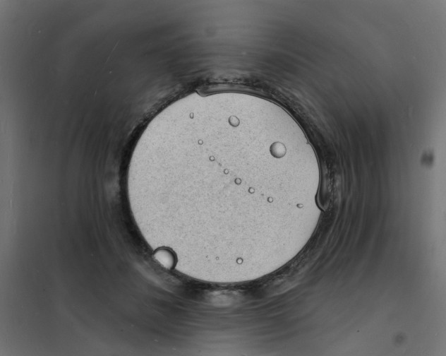 X0000101690508200808071138