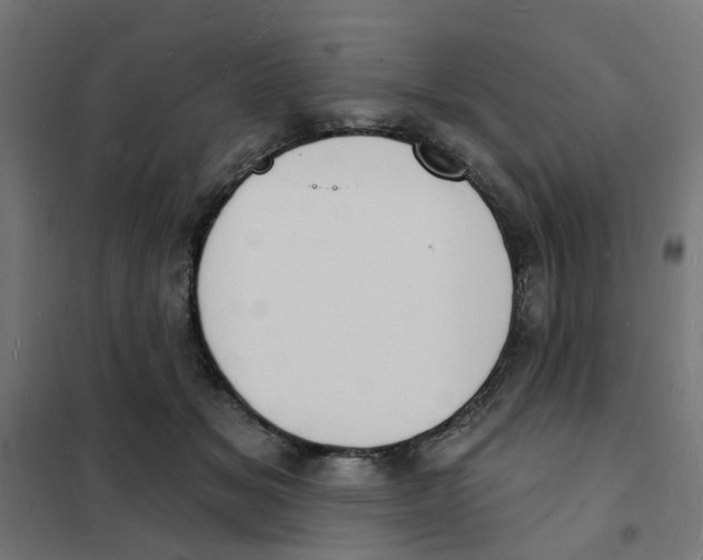 X0000101690509200808071138