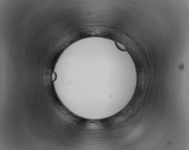 X0000101690510200808071138