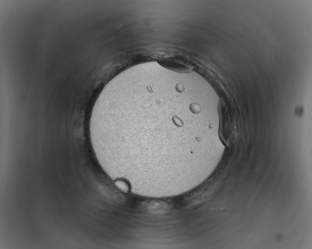 X0000101690512200808071138