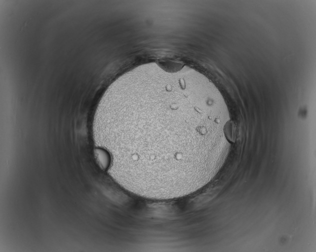 X0000101690516200808071138