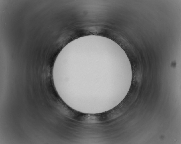 X0000101690518200808071138