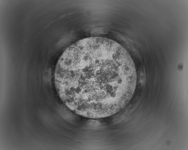 X0000101690519200808071138