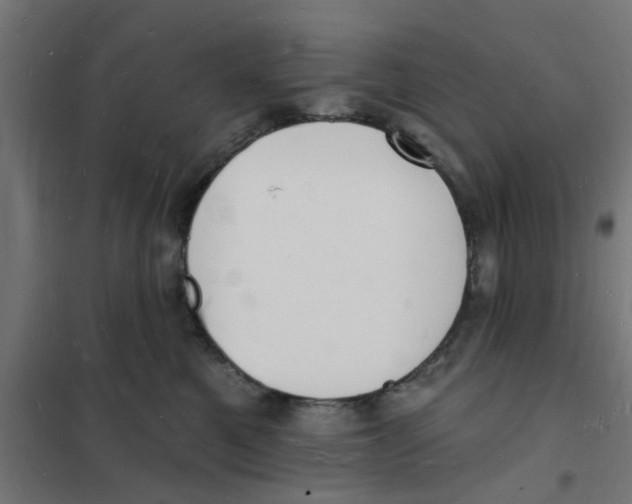 X0000101690521200808071138