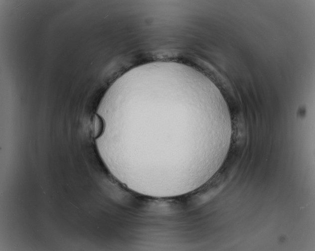 X0000101690523200808071138